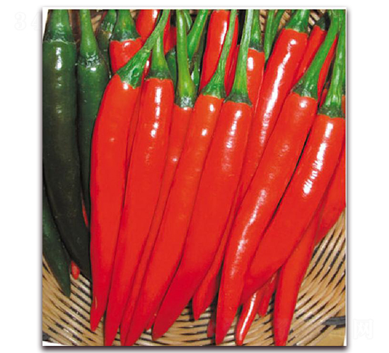 ����t��-�����N��-�|������