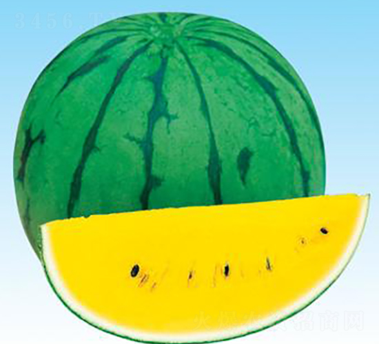 С�mA1-���ϷN��-΢�ȷN�I(y��)