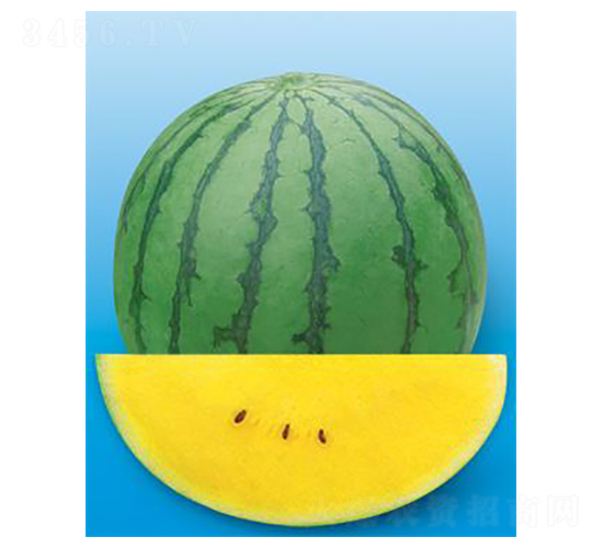 �½��m-���ϷN��-΢�ȷN�I(y��)