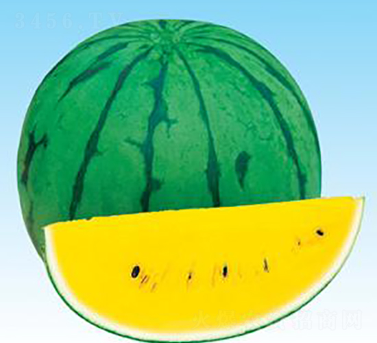 С�mB1-���ϷN��-΢�ȷN�I(y��)