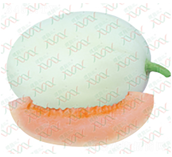 �|֮��2026-��ϷN��-΢�ȷN�I(y��)