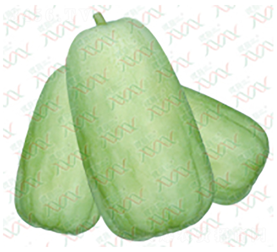 ������Ƥ�ҹ�-��ϷN��-΢�ȷN�I(y��)