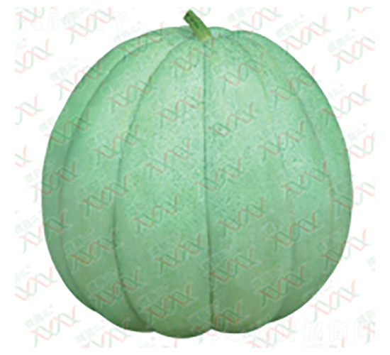 ������Ƥ�G�����-��ϷN��-΢�ȷN�I(y��)