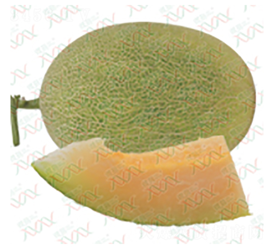 ��M-15017-��ϷN��-΢�ȷN�I(y��)