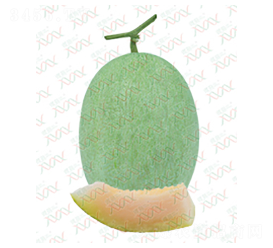 ��M-16002-��ϷN��-΢�ȷN�I(y��)