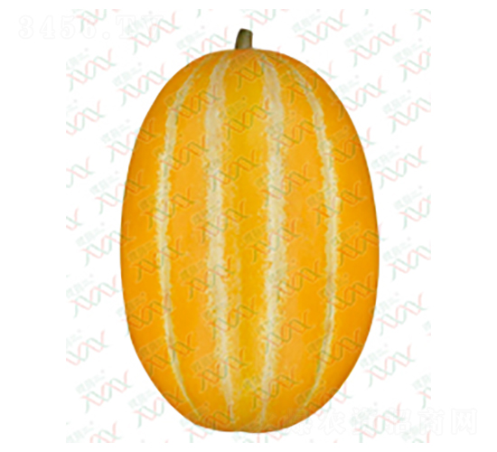 ʮ�l���S���-��ϷN��-΢�ȷN�I(y��)