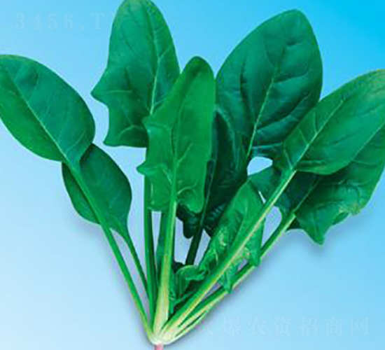 �G��(y��u)��6̖-���˷N��-΢�ȷN�I(y��)