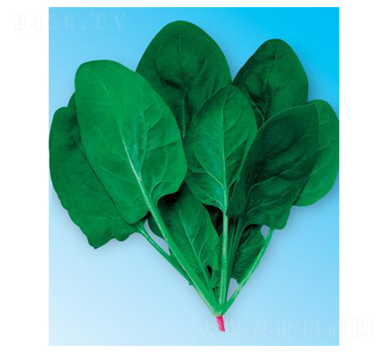 �G��(y��u)��3̖-���˷N��-΢�ȷN�I(y��)