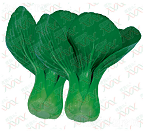 �v�F-��˷N��-΢�ȷN�I(y��)