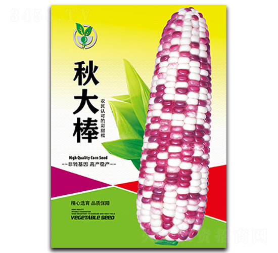 ����-���׷N��-���ѩ��