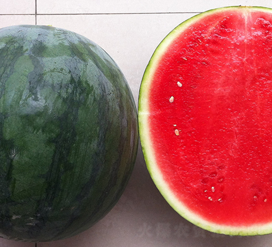 ����-���ϷN��-����N��