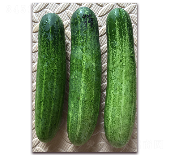 ������-�S�ϷN��-����N��