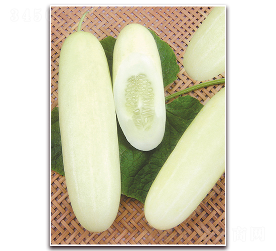 ����һ̖(h��o)-�S�ϷN��-����N��