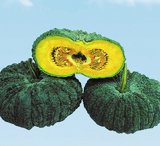 �]����-�ϹϷN��-����N��