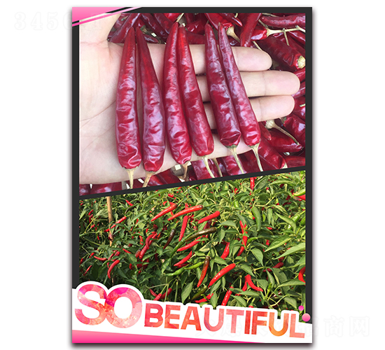 ����ʮ��̖-�����N��-����N��