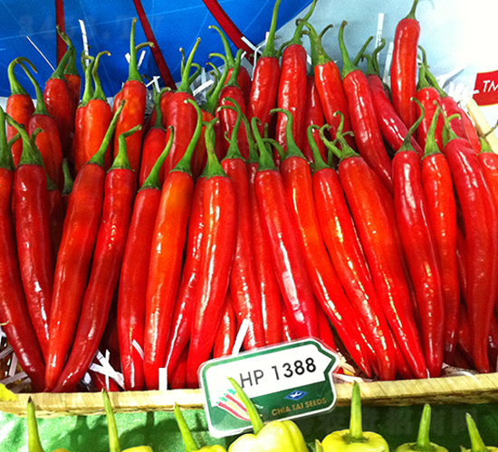 ����-�����N��-����N��