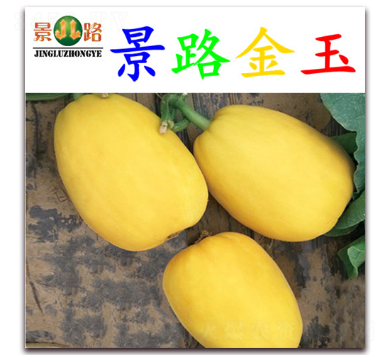 ��·����-��Ƥ��ϷN��-��·�N�I(y��)