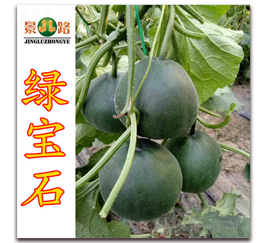 ��·�G��ʯ-��Ƥ��ϷN��-��·�N�I(y��)