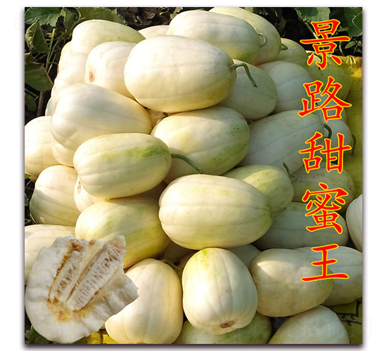 ��·������-��Ƥ��ϷN��-��·�N�I(y��)