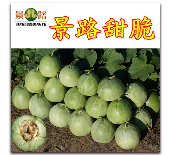 ��·���-��Ƥ��ϷN��-��·�N�I(y��)