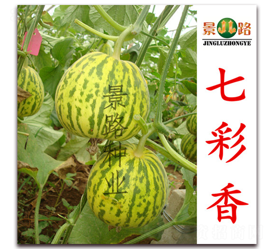 ��·�߲���-��Ƥ��ϷN��-��·�N�I(y��)