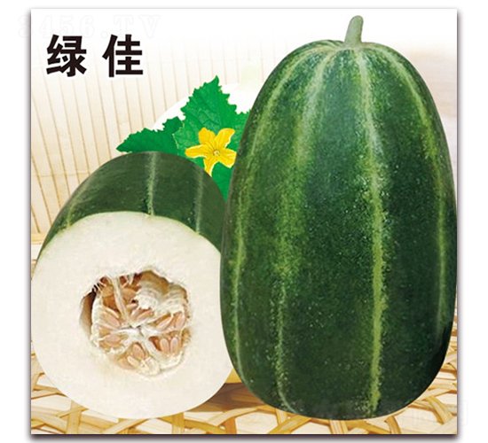 ��·�G��-��Ƥ��ϷN��-��·�N�I(y��)