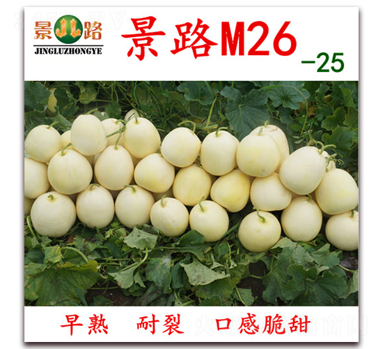 M26-25-��Ƥ��ϷN��-��·�N�I(y��)