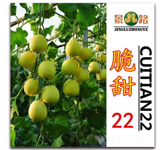 ��·����22-��Ƥ��ϷN��-��·�N�I(y��)