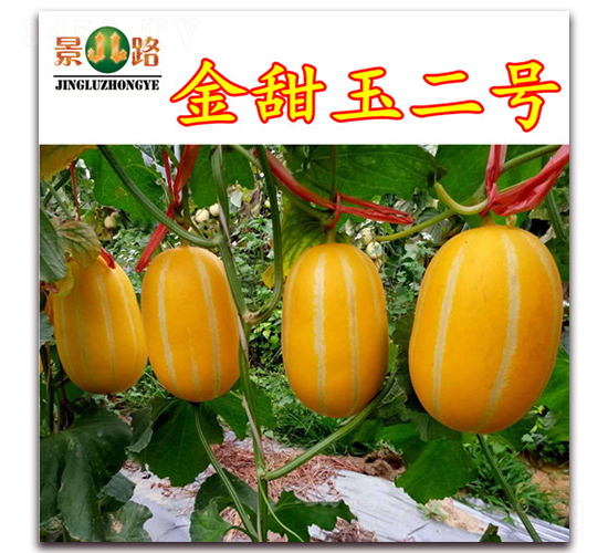 �������̖-��Ƥ��ϷN��-��·�N�I(y��)