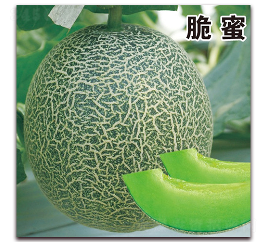 ����-��Ƥ��ϷN��-��·�N�I(y��)