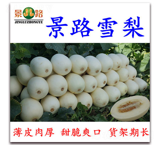 ��·ѩ��-��Ƥ��ϷN��-��·�N�I(y��)