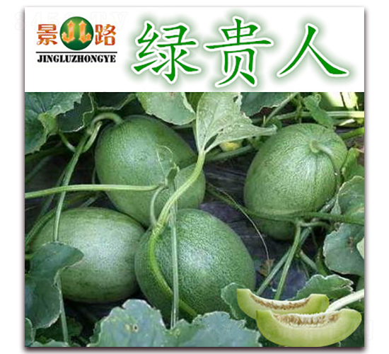 �G�F��-��Ƥ��ϷN��-��·�N�I(y��)