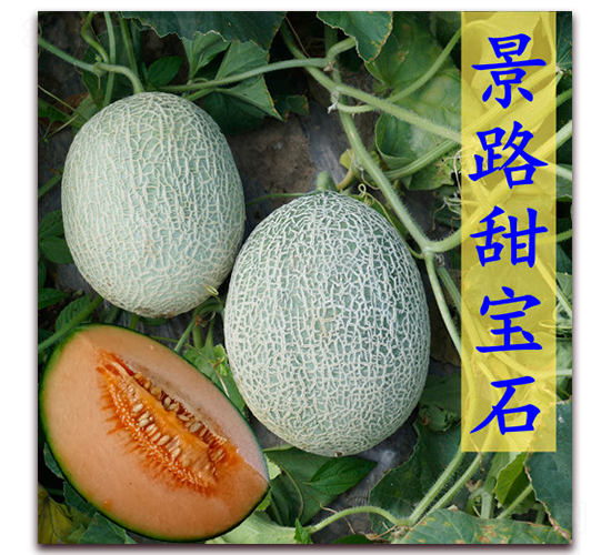 ��·����ʯ-��Ƥ��ϷN��-��·�N�I(y��)