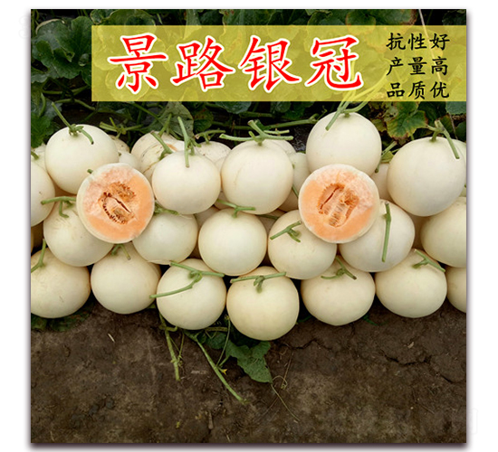 ��·�y��-��Ƥ��ϷN��-��·�N�I(y��)