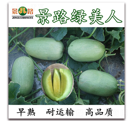 ��·�G����-��Ƥ��ϷN��-��·�N�I(y��)