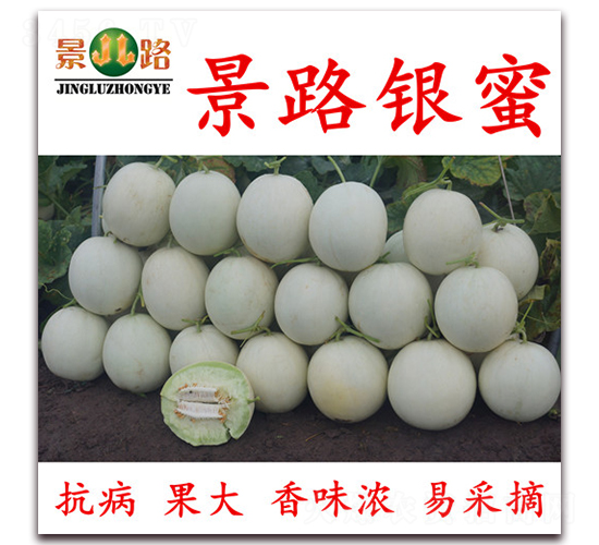 ��·�y��-��Ƥ��ϷN��-��·�N�I(y��)