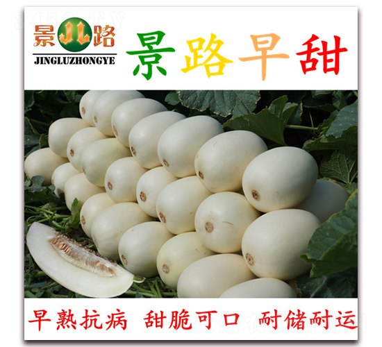 ��·����-��Ƥ��ϷN��-��·�N�I(y��)