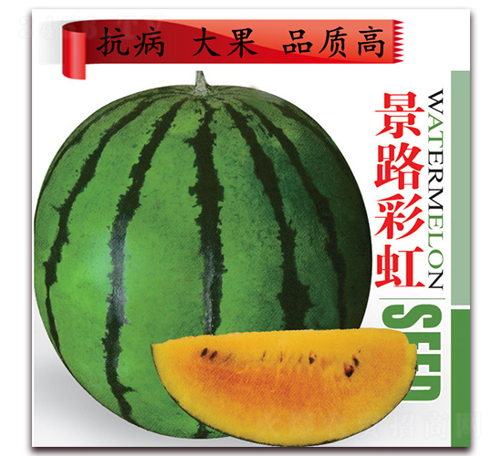 ��·�ʺ�-���ϷN��-��·�N�I(y��)