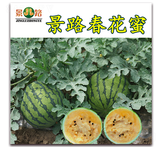 ��·������-���ϷN��-��·�N�I(y��)