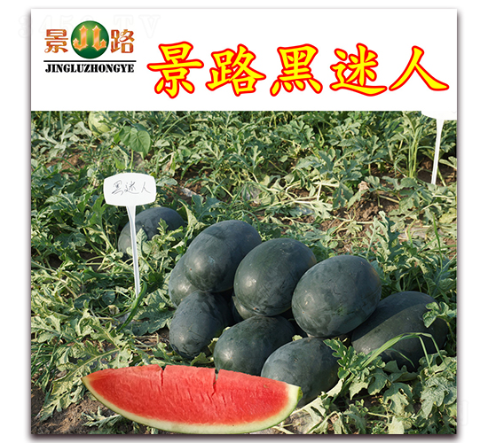 ��·������-���ϷN��-��·�N�I(y��)