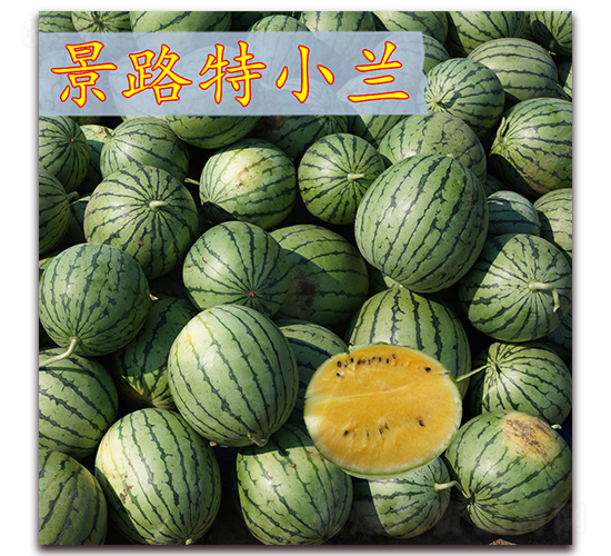 ��·��С�m-���ϷN��-��·�N�I(y��)