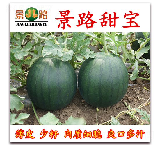 ��·����-���ϷN��-��·�N�I(y��)