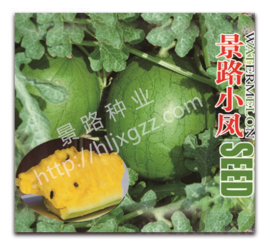 ��·С�P-���ϷN��-��·�N�I(y��)