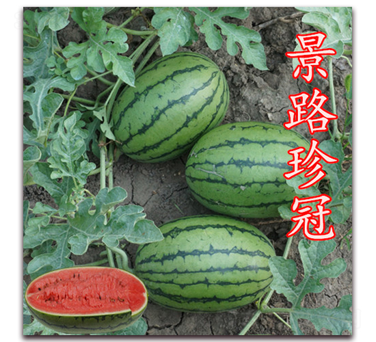 ��·���-���ϷN��-��·�N�I(y��)