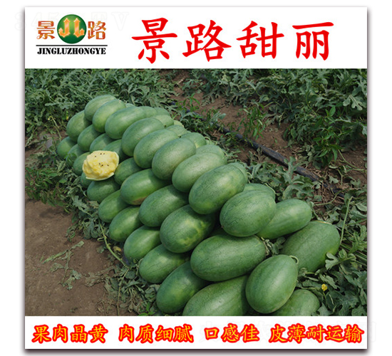 ��·����-���ϷN��-��·�N�I(y��)