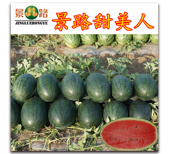 ��·������-���ϷN��-��·�N�I(y��)