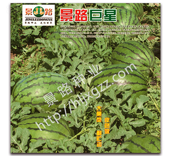 ��·����-�����ϷN��-��·�N�I(y��)