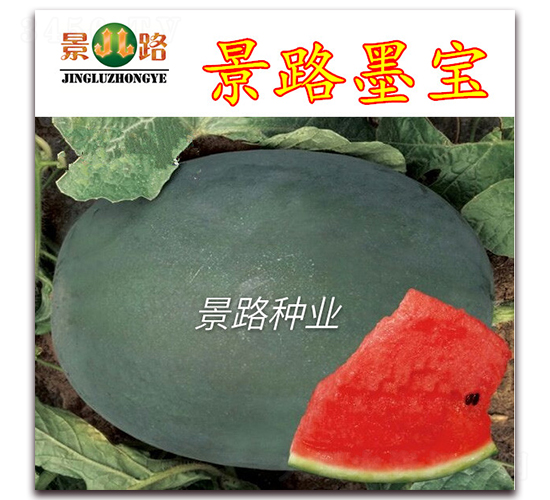 ��·ī��-�����ϷN��-��·�N�I(y��)