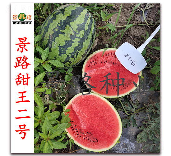 ��·������̖-�����ϷN��-��·�N�I(y��)