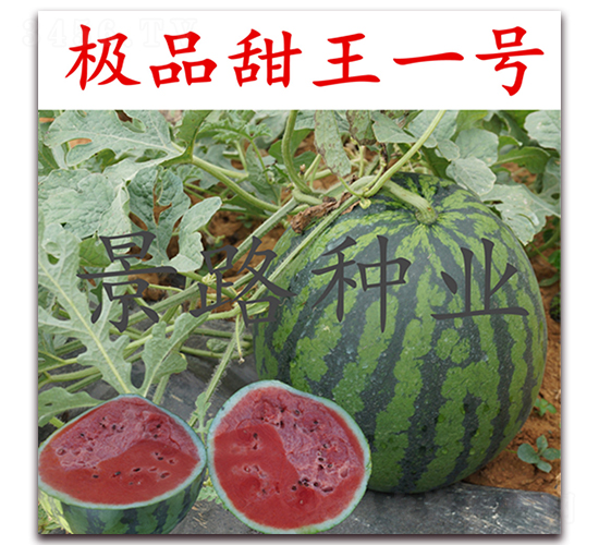 �OƷ����1̖-�����ϷN��-��·�N�I(y��)